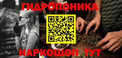 мяу мяу кристалл Аша