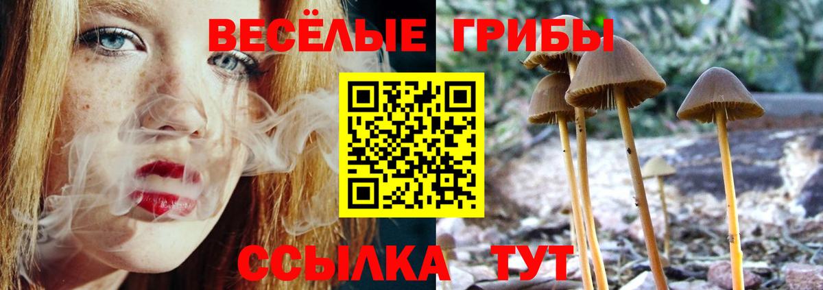 Псилоцибиновые грибы Psilocybe  Вход с VPN  Азнакаево  Галлюциногенные грибы ЛСД 